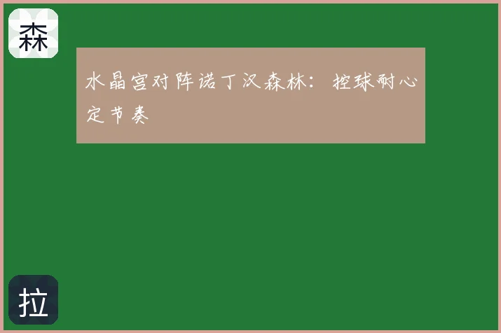水晶宫对阵诺丁汉森林：控球耐心定节奏